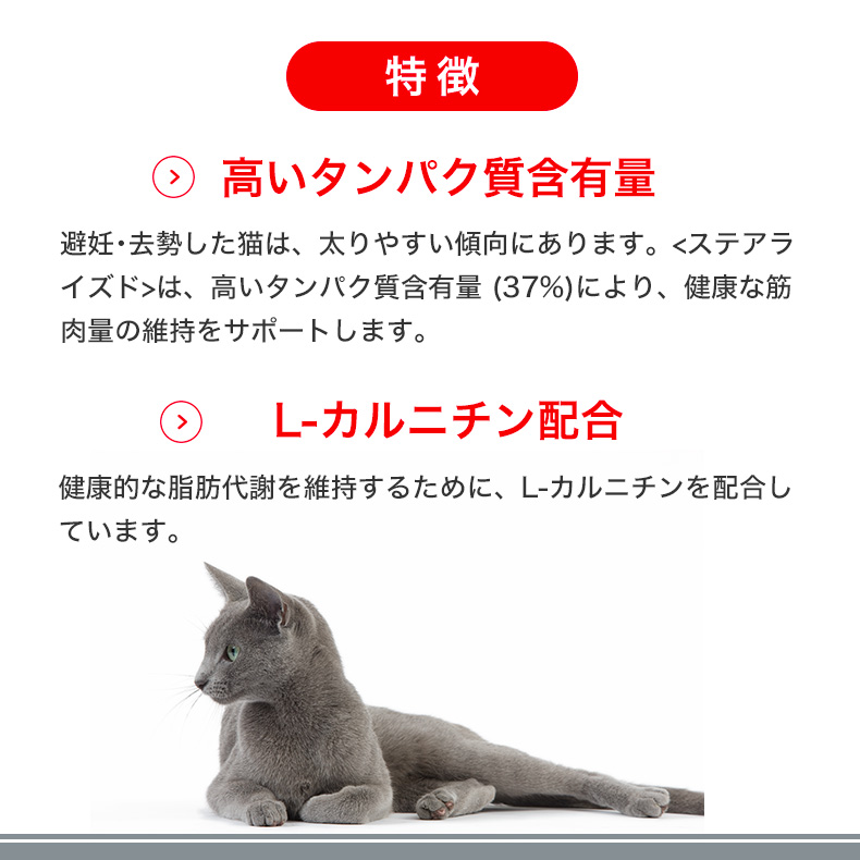 ロイヤルカナン（ROYAL CANIN） 【お得な6個セット】ロイヤルカナン