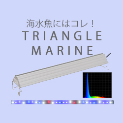 アクロ TRIANGLE LED GROW 900 5000lm