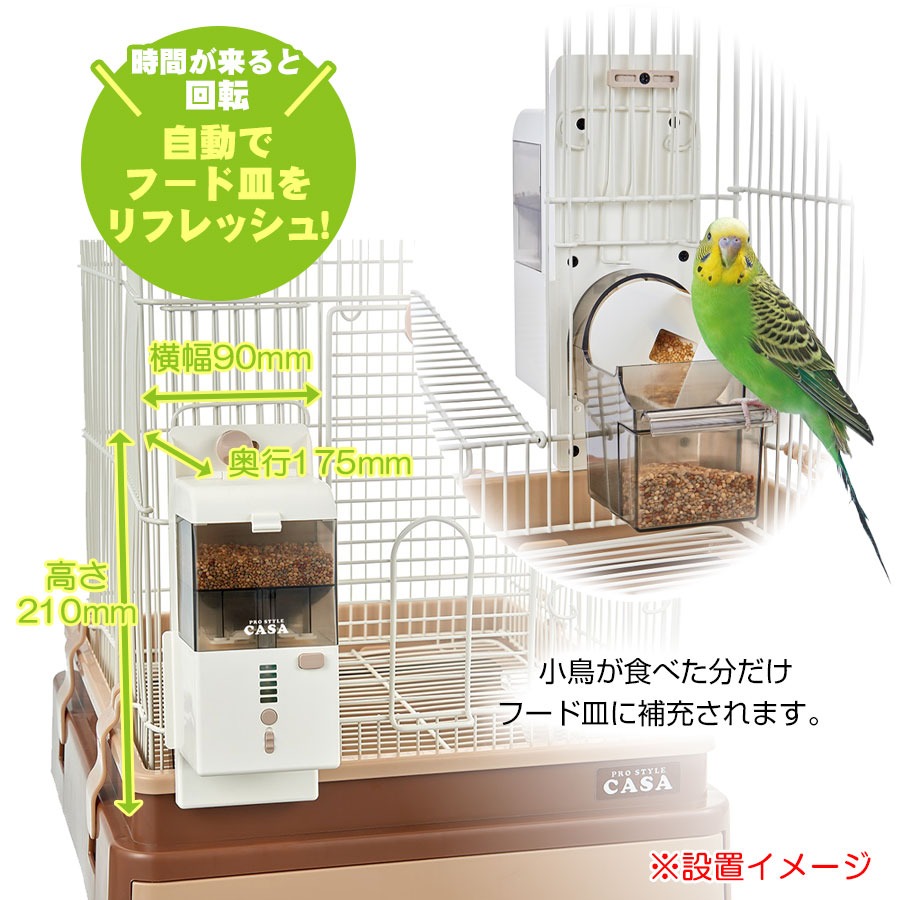 鳥専用自動給餌器（小粒用） 鳥専用自動給餌器（小粒用） Amazon.co.jp