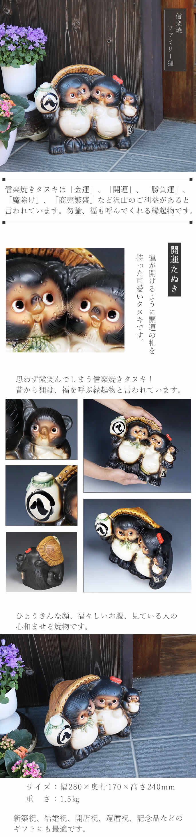 信楽焼 8号ファミリー狸 たぬき 狸 開運 縁起物 可愛い 商売繁盛