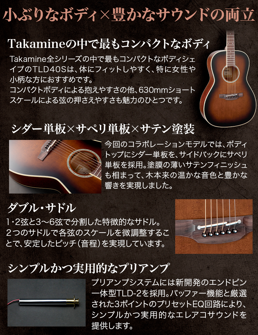 Takamine タカミネ TLD40S エレアコ アコースティックギター オール単