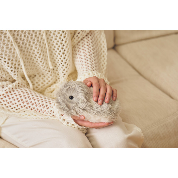 カシオ モフリンシルバー | シャディギフトモール