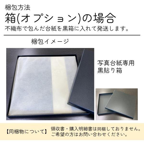 写真台紙 プリント印刷付き 仕上げ【5043・茶】6つ切 3面 記念写真