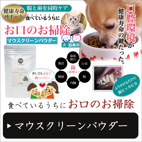 犬や猫の虫歯、歯周（歯垢・歯石）対策、歯磨き（歯みがき）、口腔環境