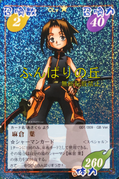 シャーマンキング 超・占事略決 真空仏陀切りEX スペシャルレア