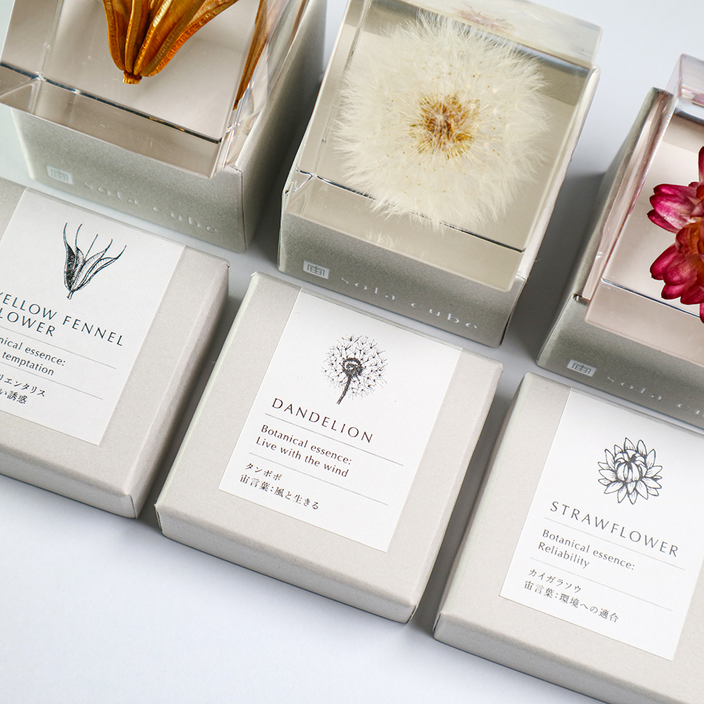 ウサギノネドコ Sola cube 3種類セット 標本ケース付き