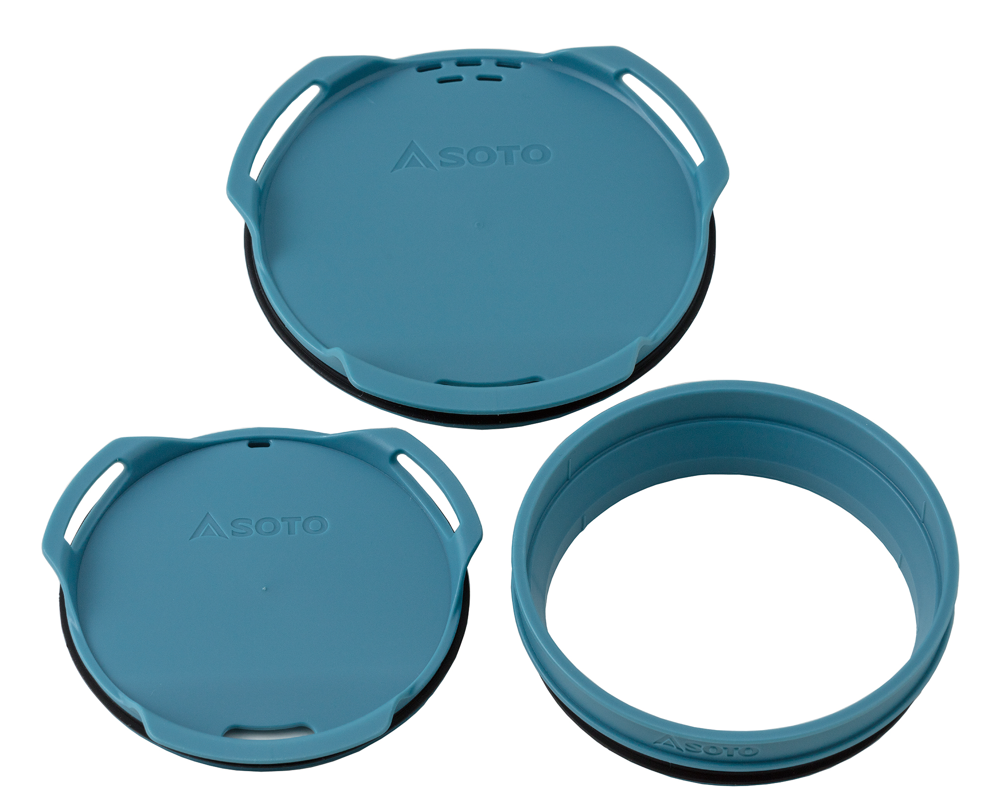 1点物】乾燥・色彩保存標本 オオグソクムシ 1点物】乾燥・色彩保存標本