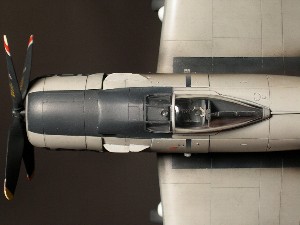 A1H スカイレーダー Douglas A-1H Skyraider Hasegawa 1/72