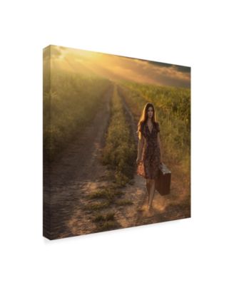 Trademark Global David Dubnitskiy 'Traveler' Canvas Art - 35