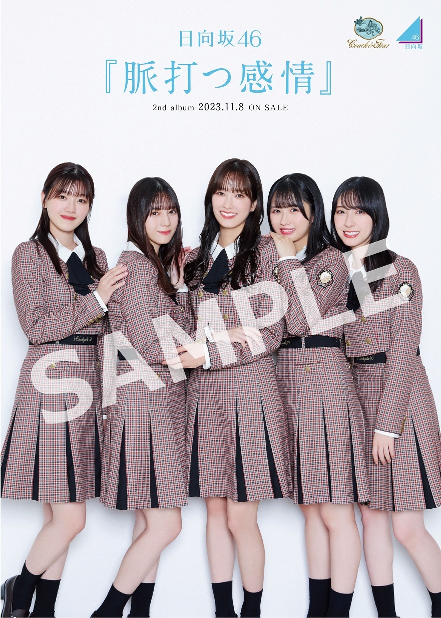 渡辺莉奈 日向坂46 Kアリーナ 脈打つ感情 ポストカード 直筆サイン