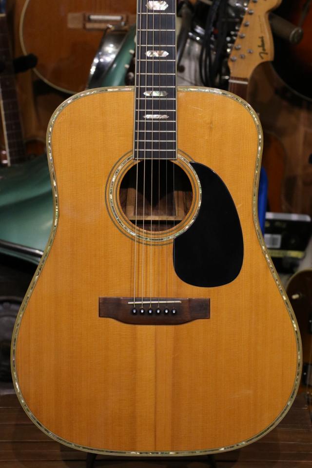 Morris ギターW100