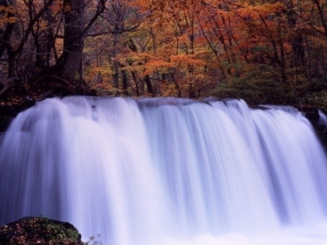 奥入瀬渓流の紅葉｜紅葉情報2025