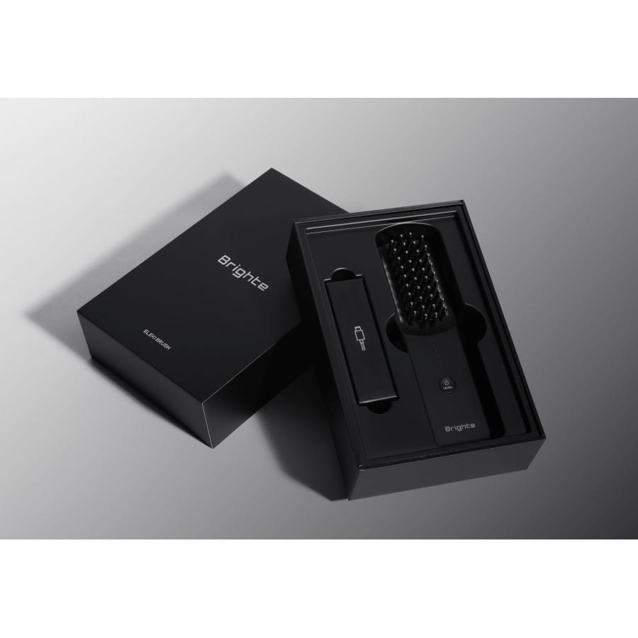 ほぼ未使用》 Brighte ELEKIBRUSH ブライト エレキブラシ