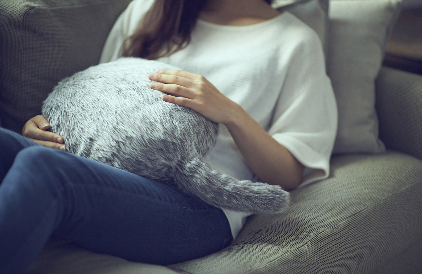 公式ストア】Qoobo（クーボ）心を癒やす、しっぽクッション。 – ユカイ