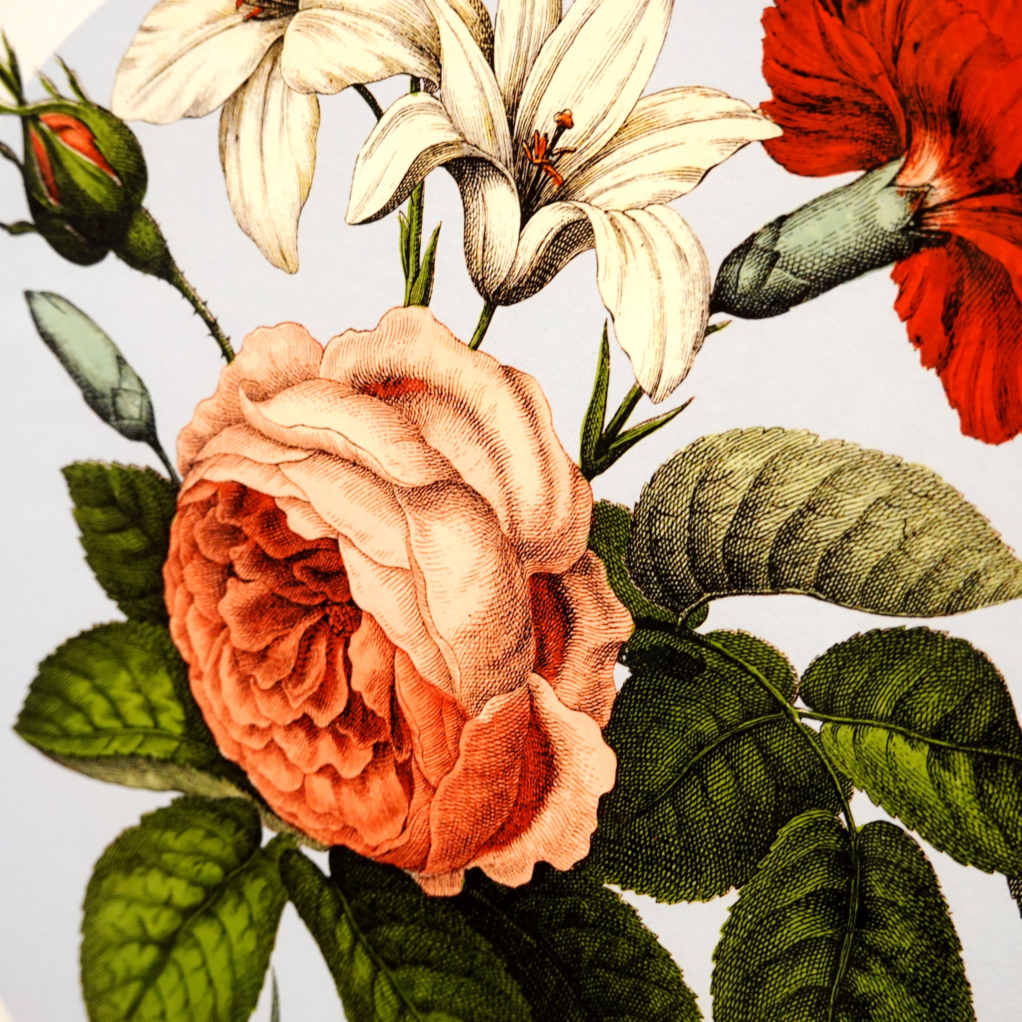 アートフレーム ポスター Summer Frower 1. Old Encyclopedia Denmark