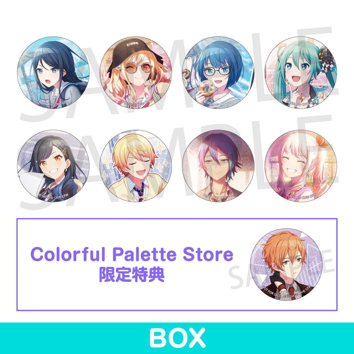 trcan_gt31_web_B-box.jpg?v=