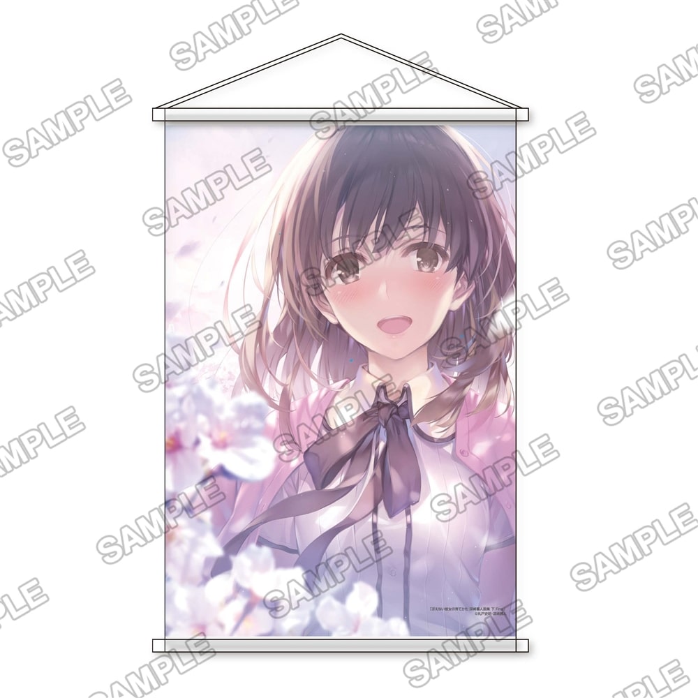 冴えない彼女の育てかた 深崎暮人画集 下 Fine. カドカワストア