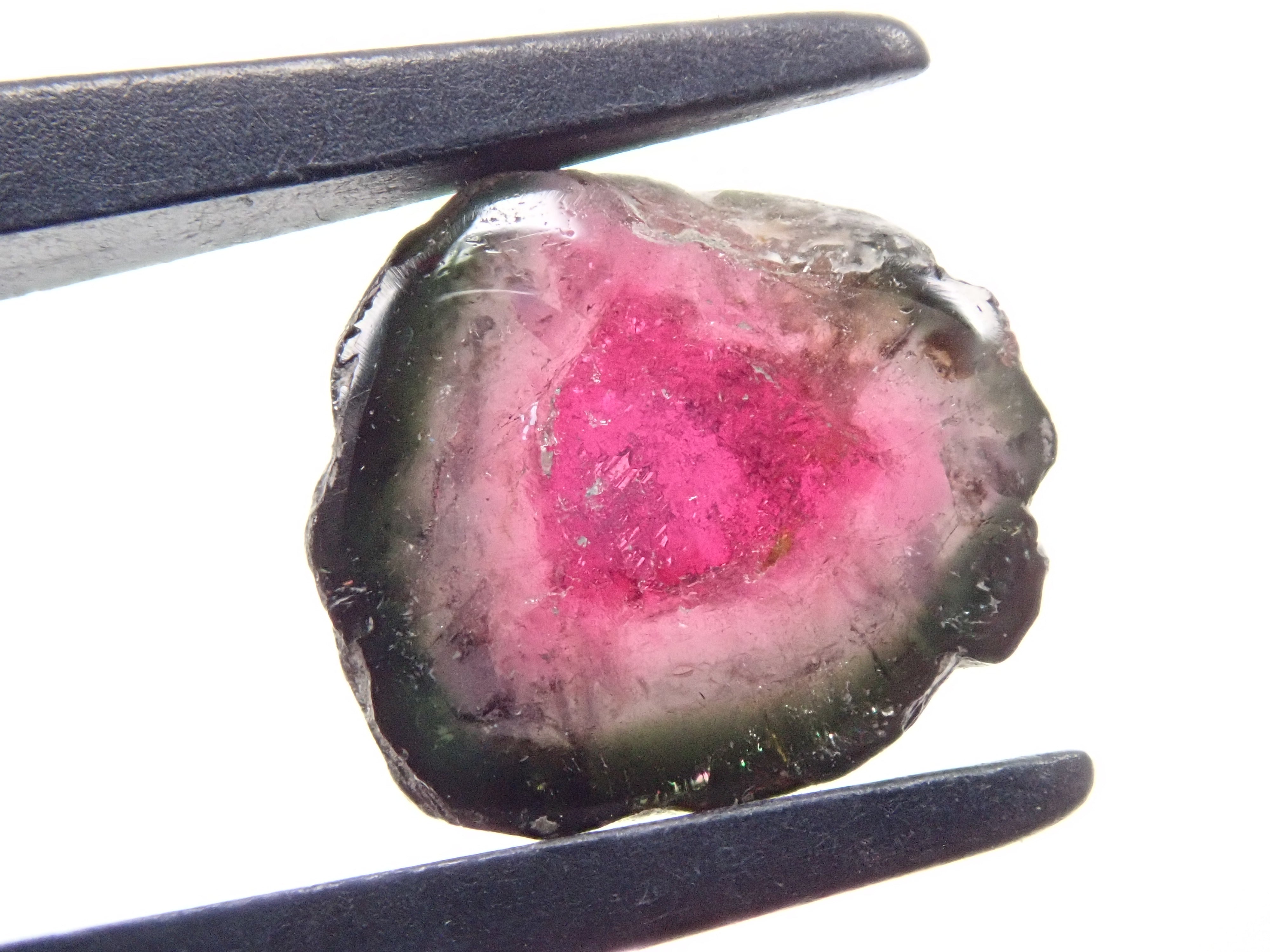 P2160861.jpg?v=1708380972&