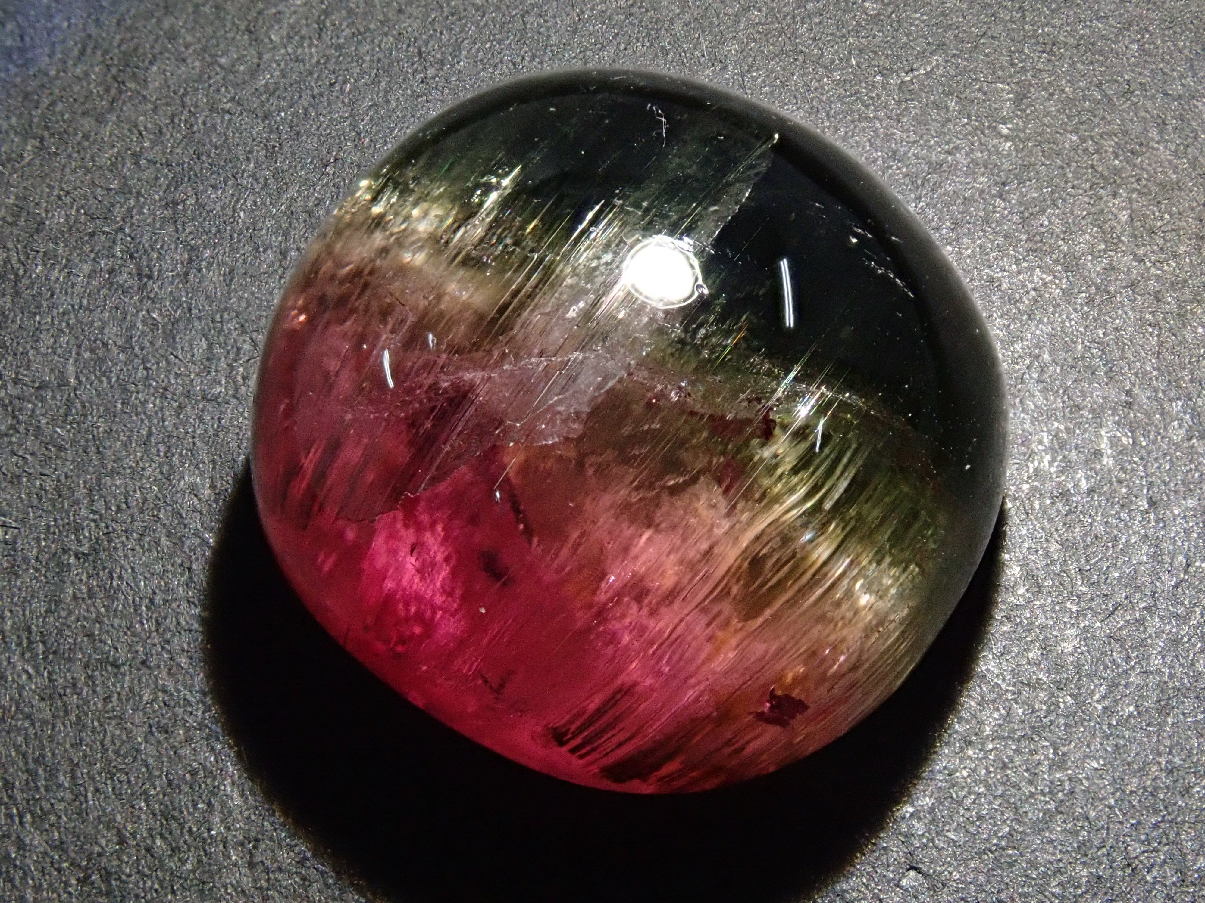 フォーチュンキャット ラメカラー 極レア フォーチュンキャット