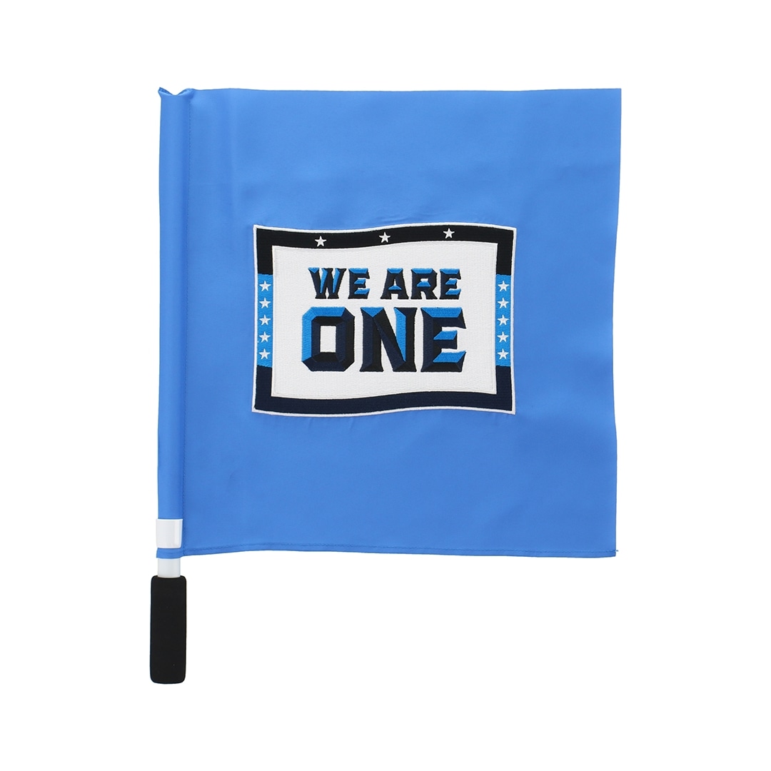 西武ライオンズ フラッグ付きペンライト (チームスローガン) 2本 埼玉