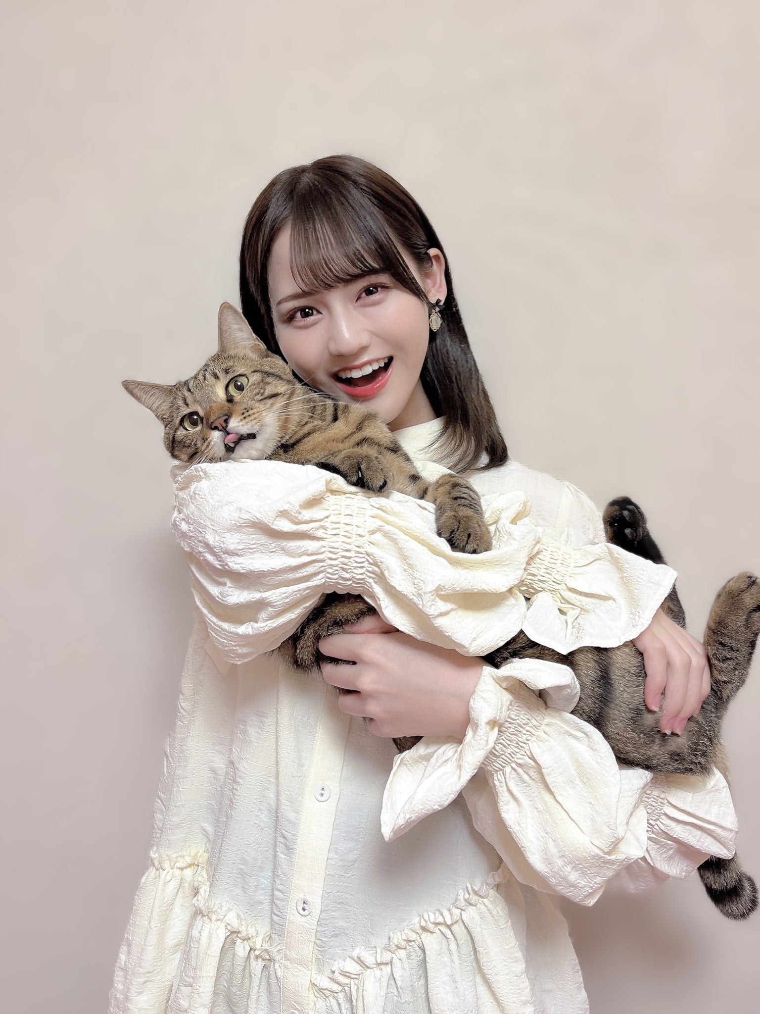 イコラブ 髙松瞳 直筆生写真 イコラブ 髙松瞳 直筆生写真 猫 コンプ