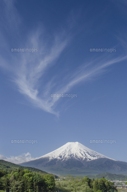 晴天下に現れた鳳凰雲と富士山[02702000002]の写真・イラスト素材