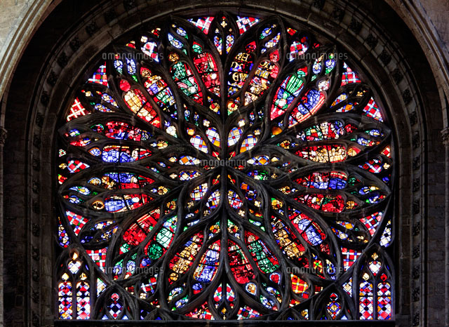 ノートルダム大聖堂の南のバラ窓[26095007150]の写真・イラスト素材