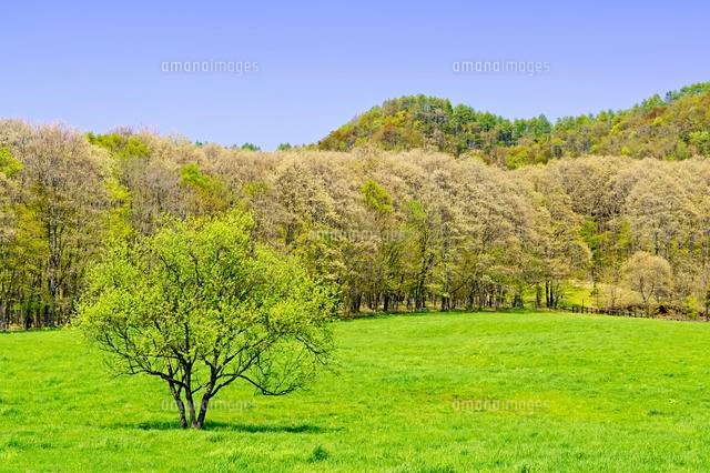 春の草原と日高の山並み[10217000480]の写真・イラスト素材｜アマナ