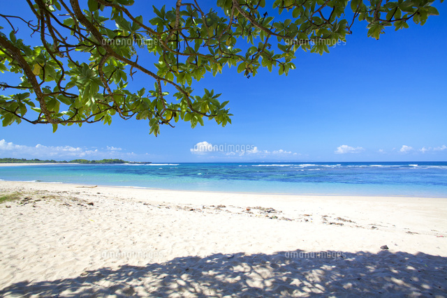 インドネシア バリ島 ヌサドゥアビーチ[10430007021]の写真・イラスト