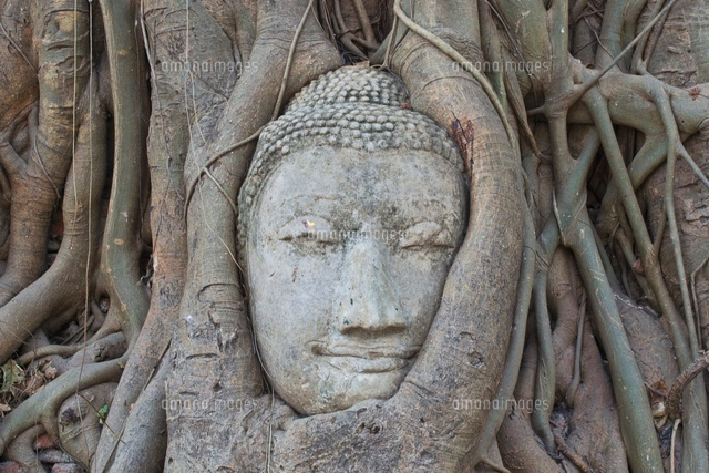 タイ/スコータイ王朝/仏像/頭部/仏頭/青銅/アユタヤ/カンボジア/古い仏