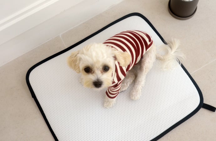 オーダーメイド ペットアクリルトイレ ICHIGOtype グレースモーク色