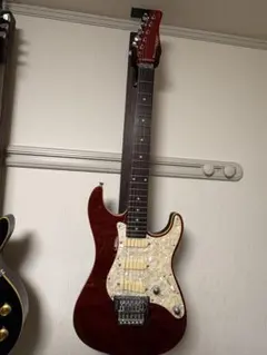 2026年最新】progauge schecterの人気アイテム - メルカリ