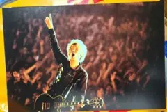 2026年最新】SuperBeaver パネルの人気アイテム - メルカリ