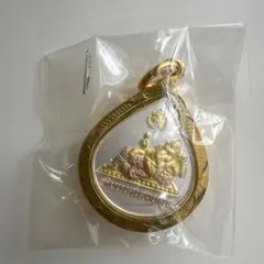 2026年最新】プラクルアンの人気アイテム - メルカリ