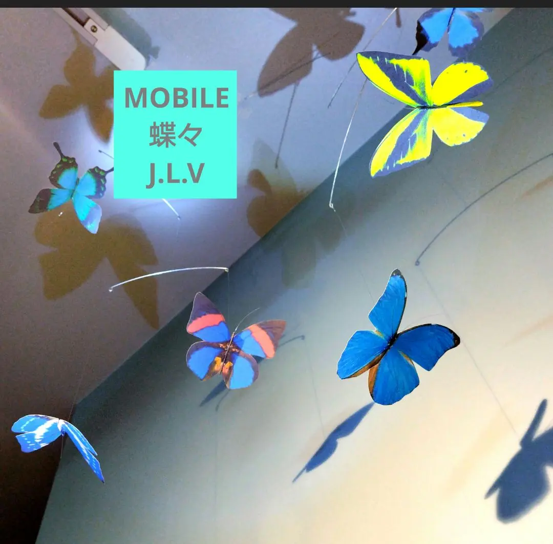 2026年最新】キプリスモルフォの人気アイテム - メルカリ