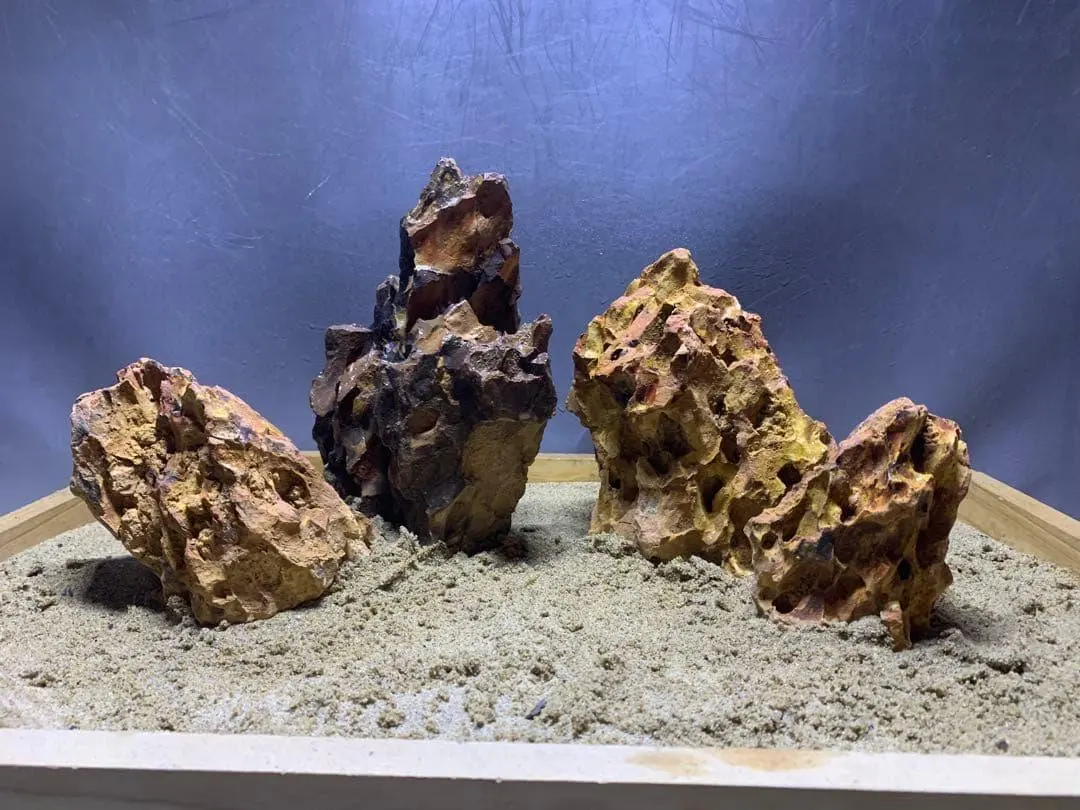 2026年最新】龍王石 親石の人気アイテム - メルカリ