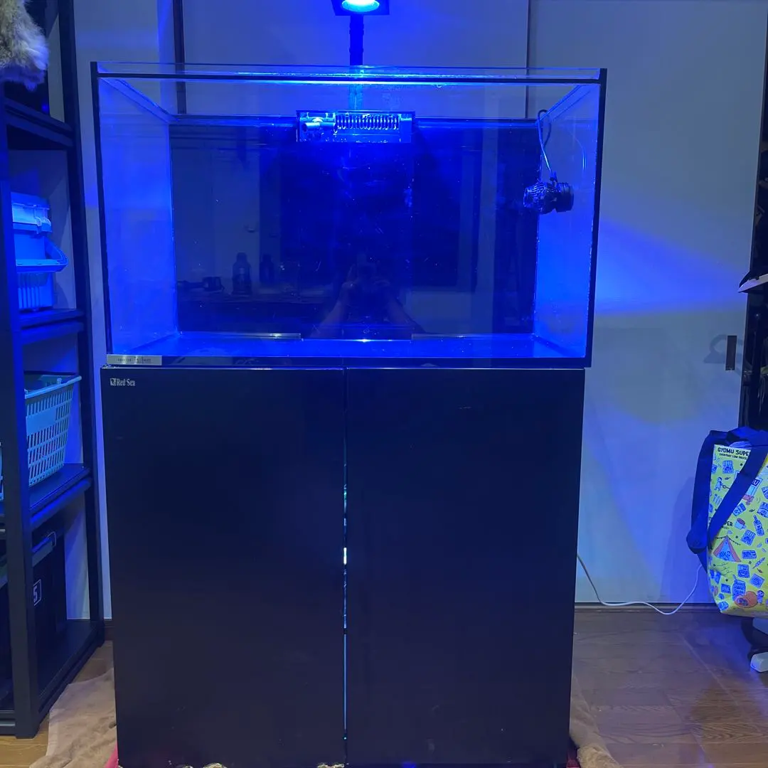 2026年最新】Red Sea オーバーフロー水槽の人気アイテム - メルカリ