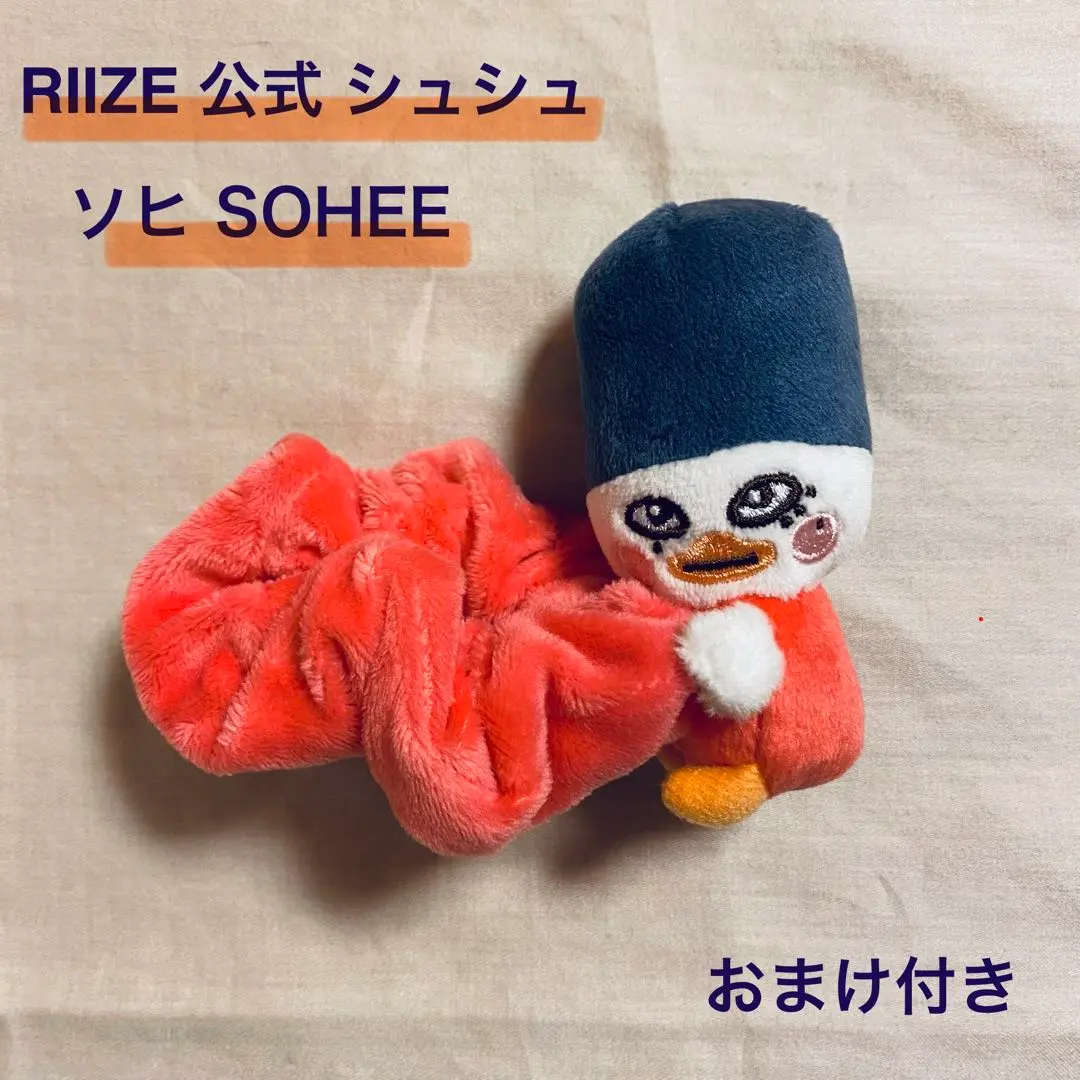 2026年最新】rIize ソヒ シュシュの人気アイテム - メルカリ