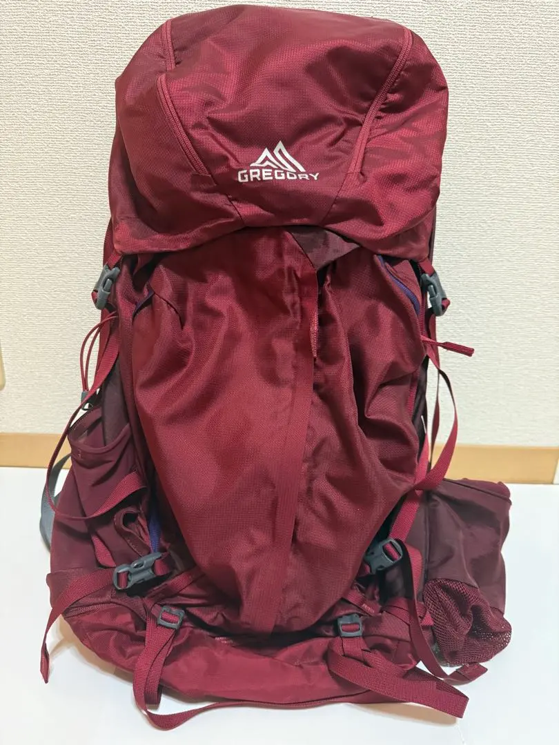 2026年最新】gregory deva 60の人気アイテム - メルカリ