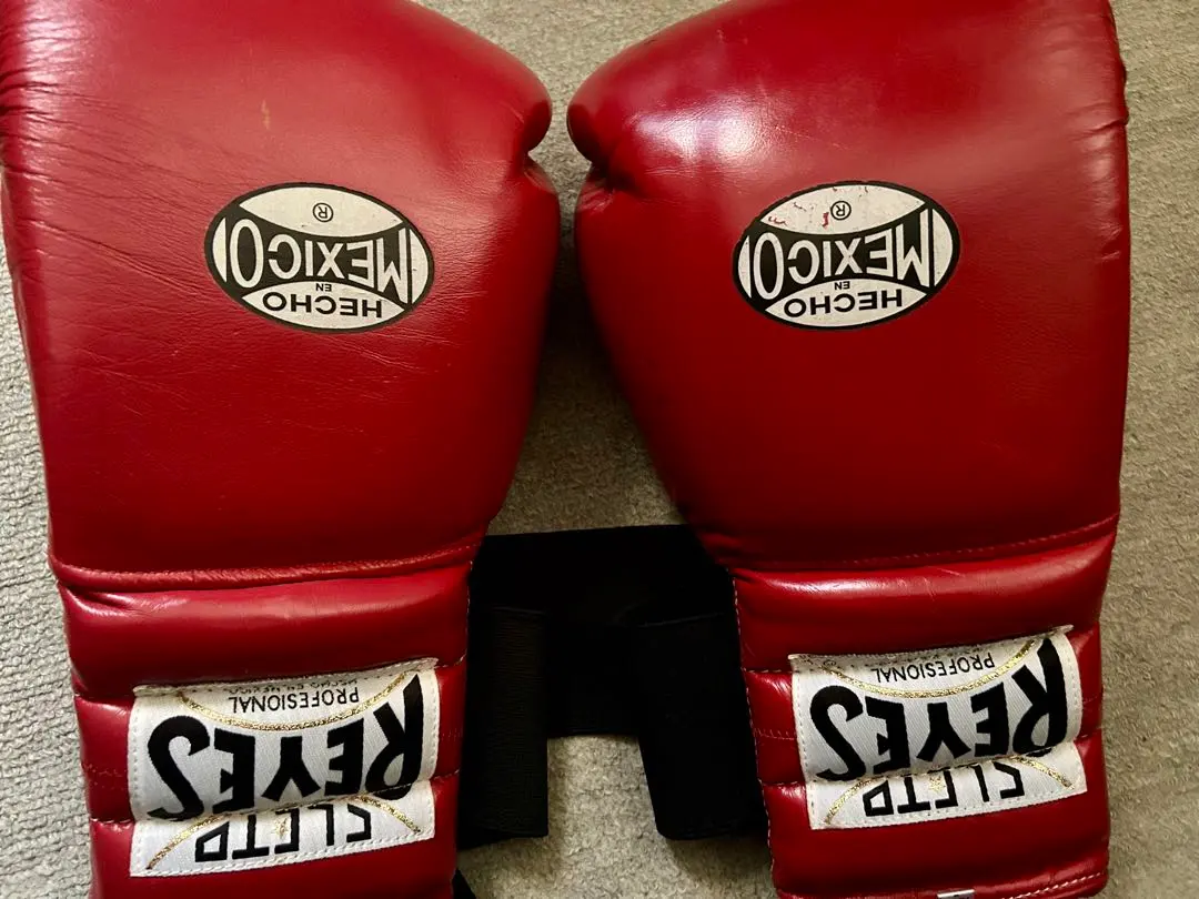 2026年最新】レイジェス グローブの人気アイテム - メルカリ