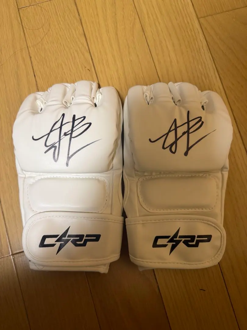 2026年最新】朝倉未来 サイン グローブの人気アイテム - メルカリ