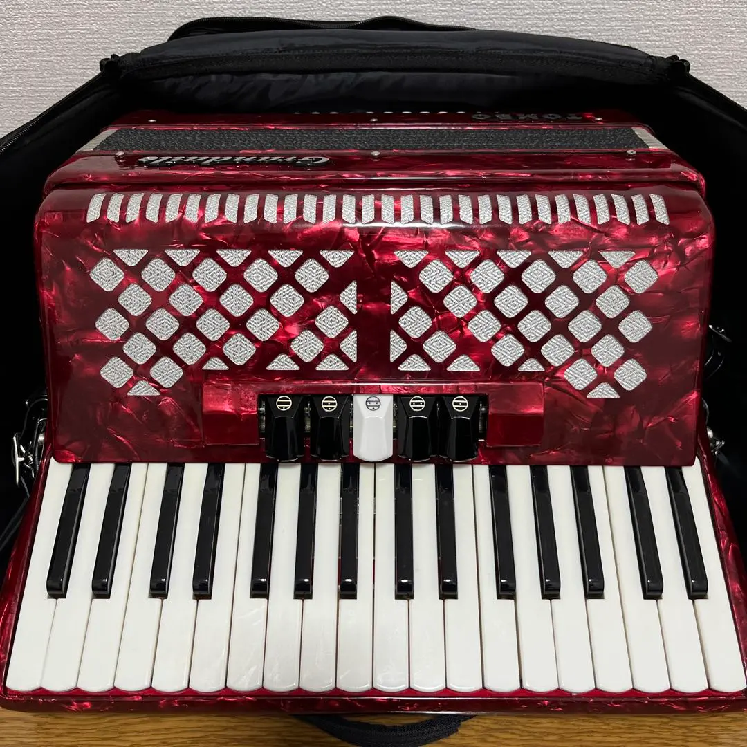 2026年最新】TOMBO Grandaile GT-60の人気アイテム - メルカリ