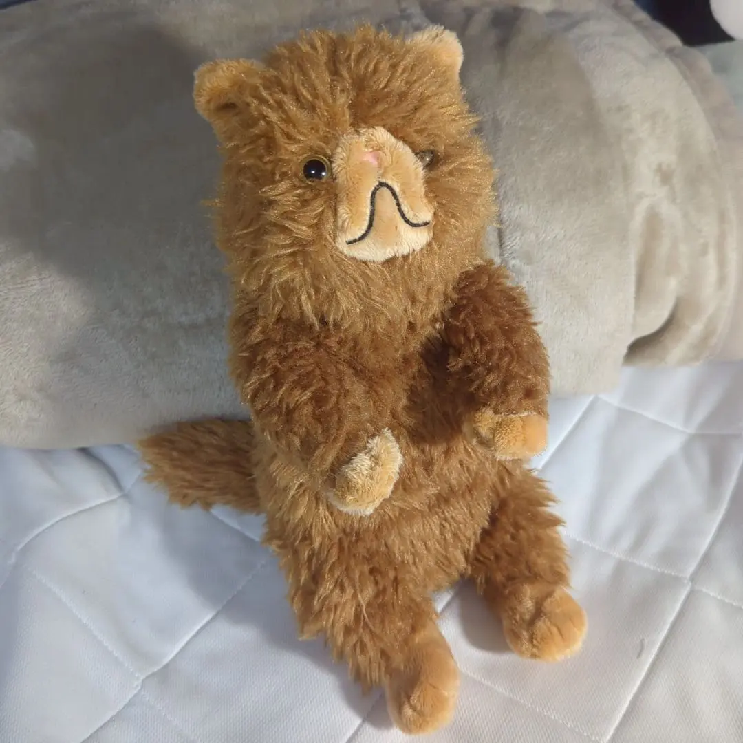 2026年最新】クルックシャンクス ぬいぐるみの人気アイテム - メルカリ