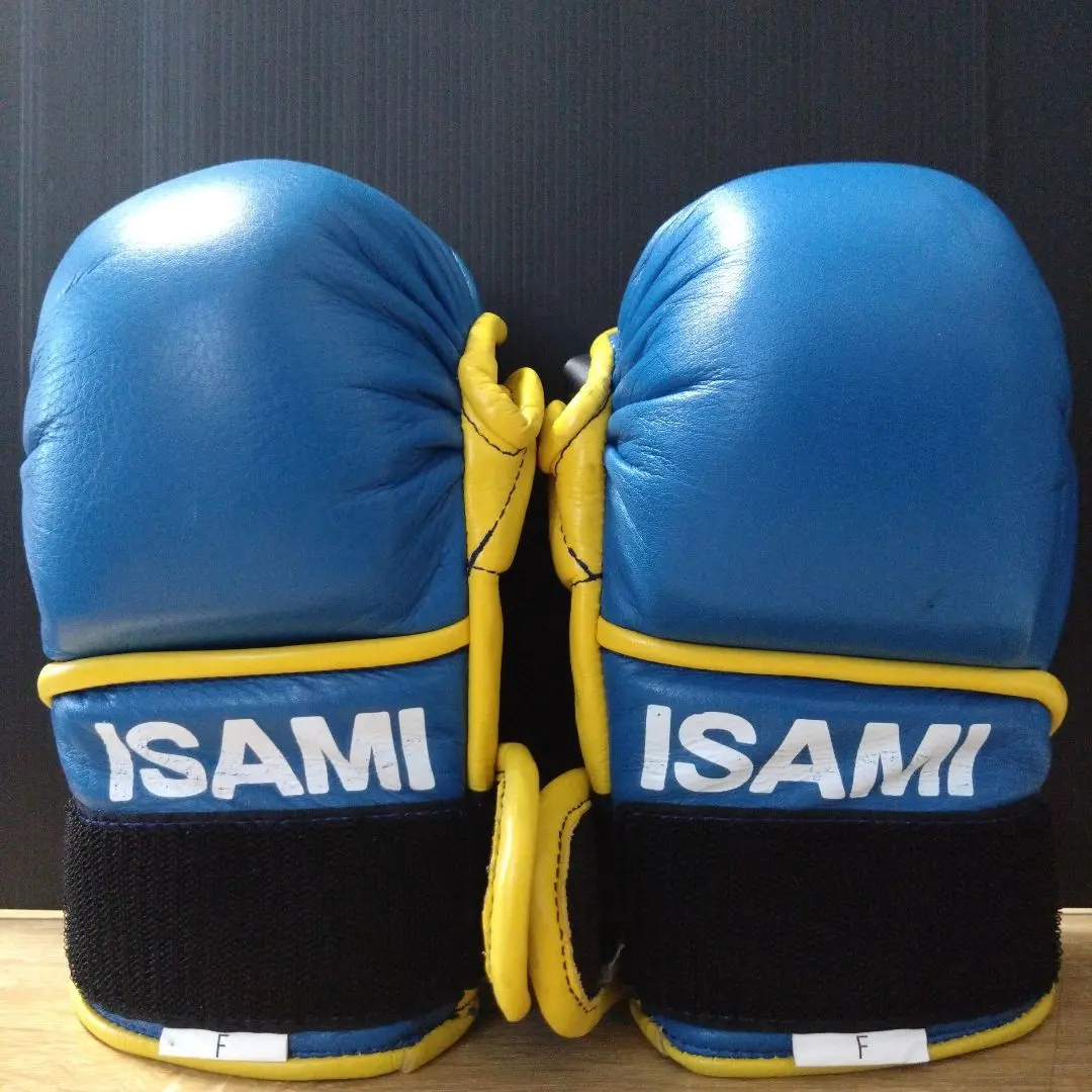 2026年最新】イサミ パウンドグローブの人気アイテム - メルカリ