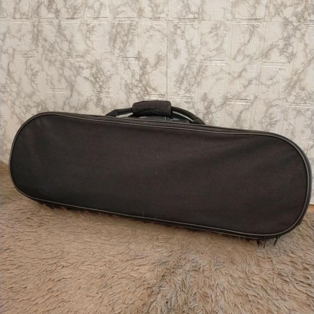カルロジョルダーノ バイオリン VS-2 4/4　ケース付