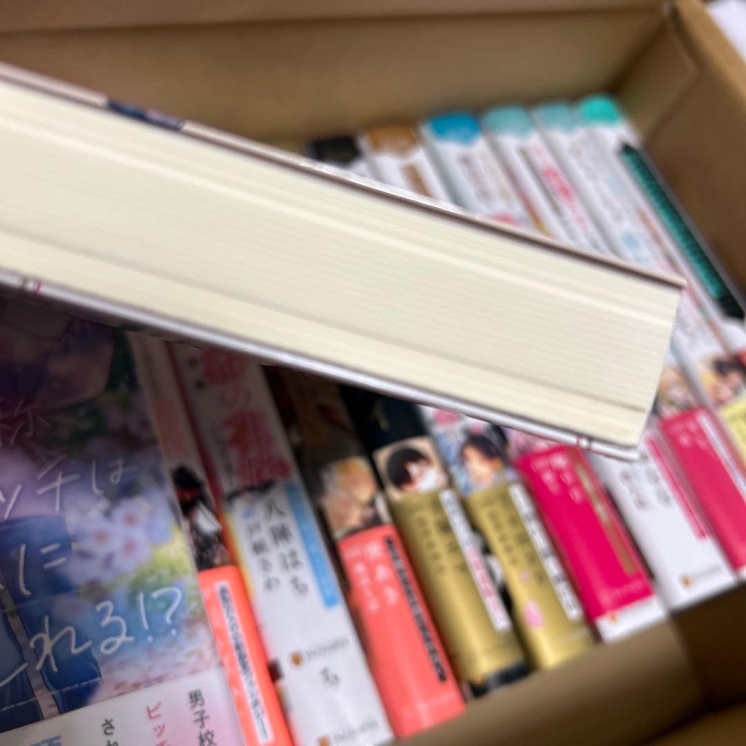 bl小説大判サイズ纏め売りセット　アンダルシュノベルズ他