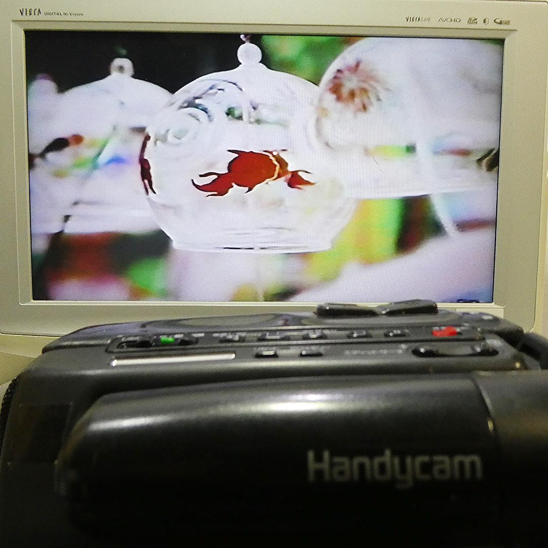 動作良好 Hi8ソニー CCD-TR55 8ミリビデオカメラ DVD化に最適