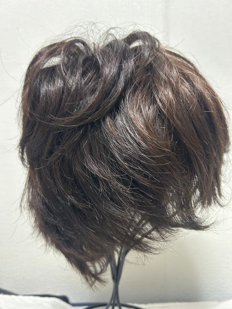 フォンテーヌ　フルウィッグ　DX30 33G 中古品