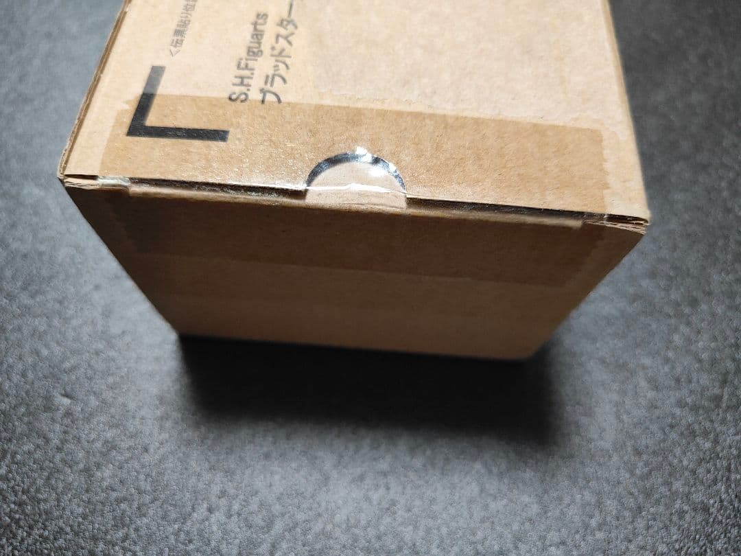 S.H.Figuarts ブラックホールフォーム（フェーズ4）ブラッドスターク