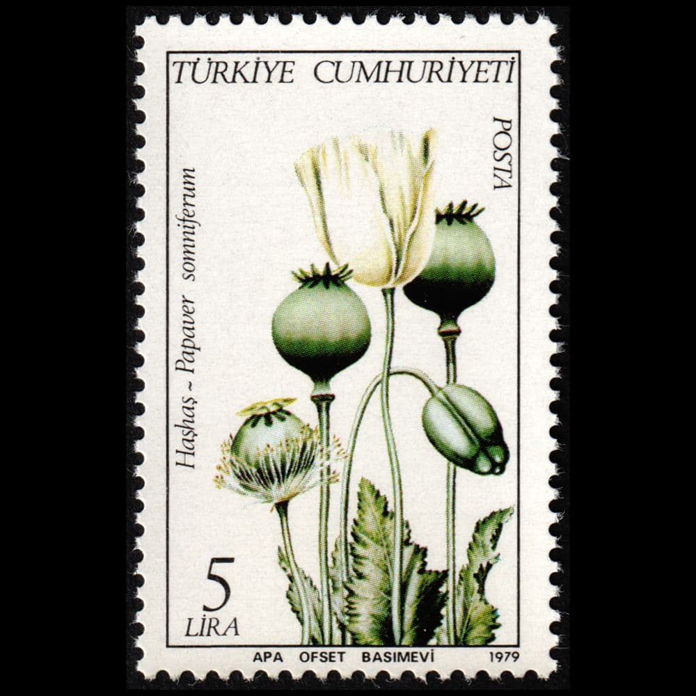 トルコの植物の切手（トルコ 1979年） - メルカリ